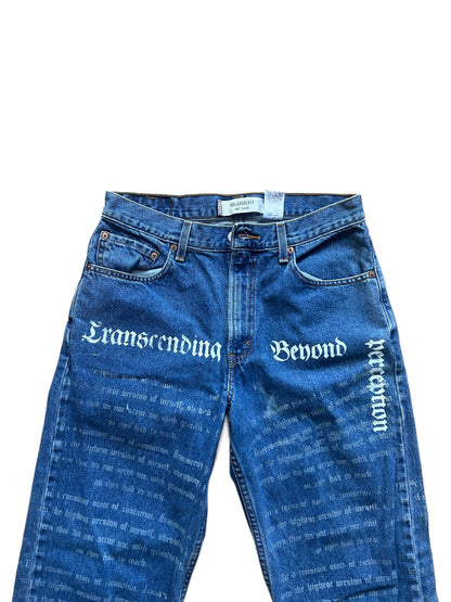 Levis Affitmation Pant