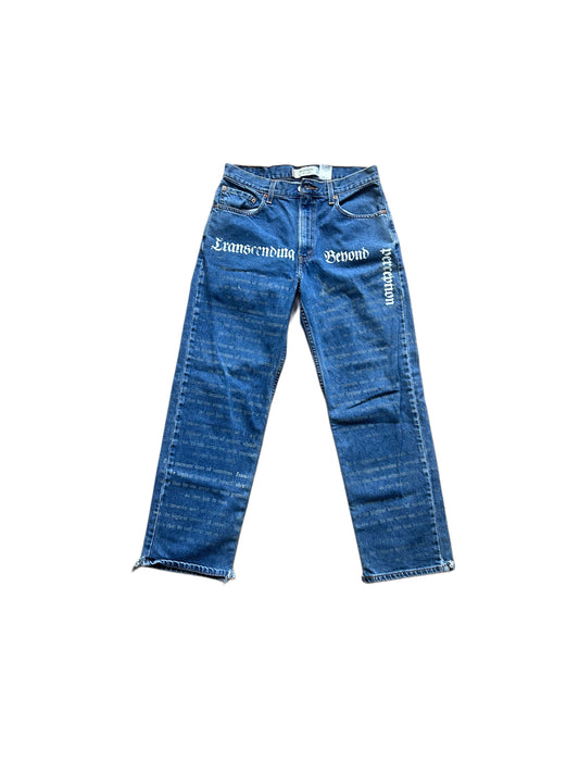 Levis Affitmation Pant