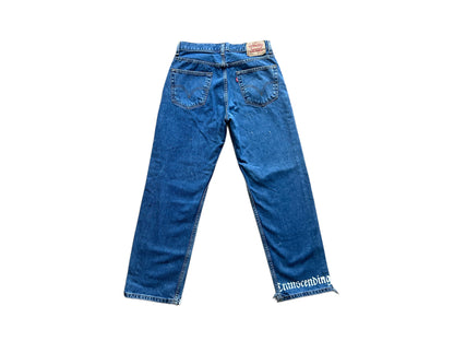 Levis Affitmation Pant